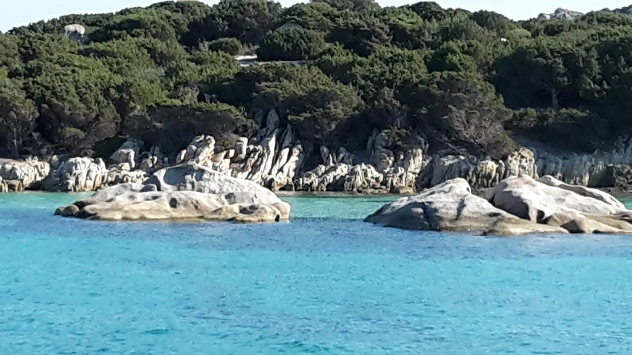 asinara foto 3